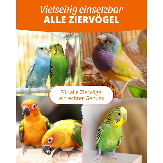 petifool Kolbenhirse gelb 500g - Einzelfuttermittel für alle Ziervögel - Vogelfutter - 100% Natur (Packung mit 2)