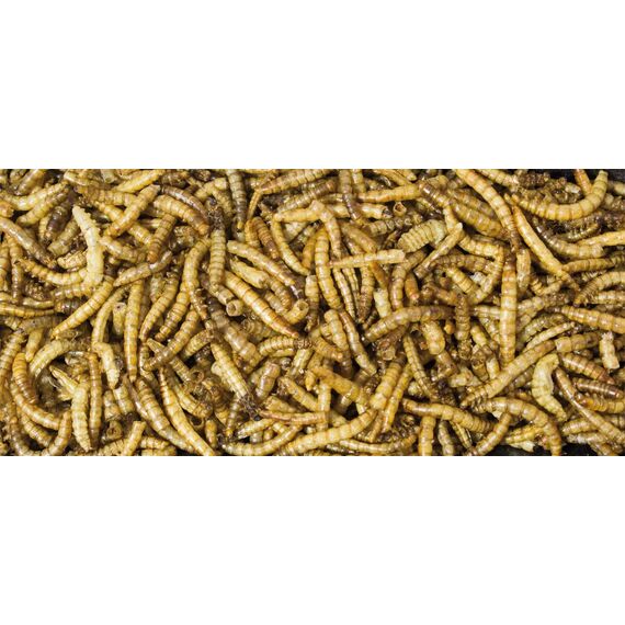 JR FARM Birds Mehlwürmer 25 g