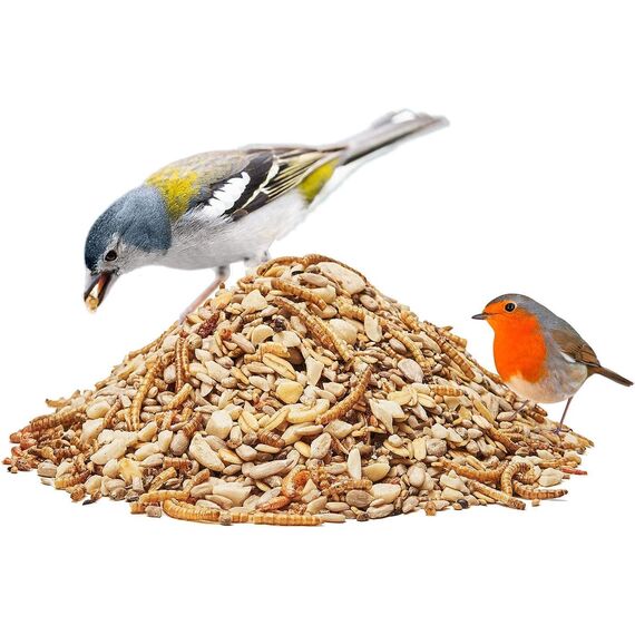 Paul´s Mühle Wildvogelfutter, Vogelfutter ideal für Brutzeit und Aufzucht, Phönix, 20 kg