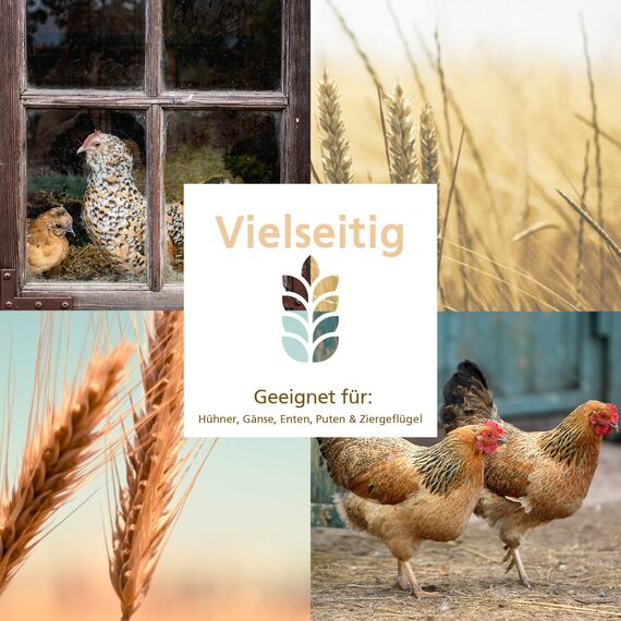 Carl Wolf - Geflügelkörnerfutter - 800g - Probiergröße - Natürliche Premium-Qualität für gesundes Geflügel - Hühner - Enten - Regional - Naturbelassen - Ohne Gentechnik
