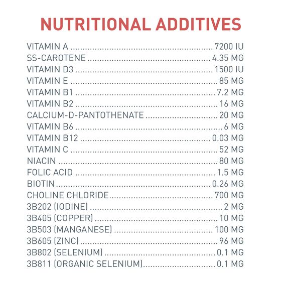 Versele-Laga NutriBird A21 - Handaufzuchtfutter für Vögel bei Proteinbedarf 250g