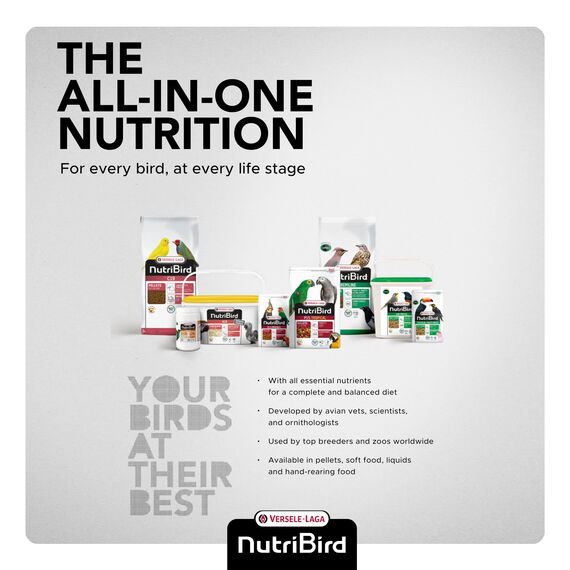 Versele-Laga NutriBird A21 - Handaufzuchtfutter für Vögel bei Proteinbedarf 250g