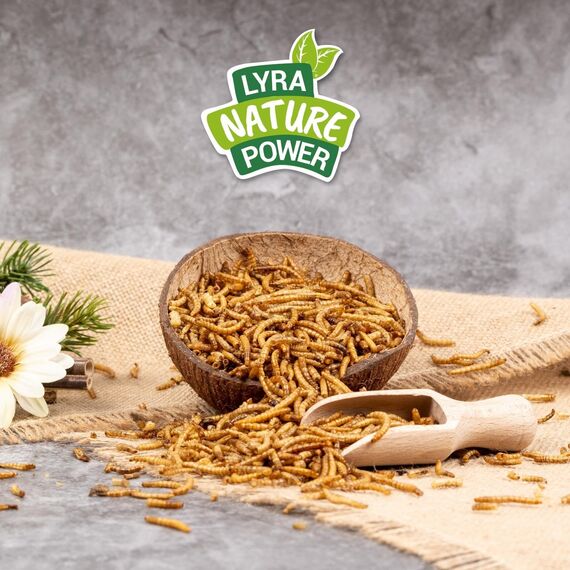 Lyra Pet® | 10 kg Mehlwürmer getrocknet | Proteinreiches Vogelfutter | Für Wildvögel, Nager, Reptilien & Fische | Nahrhaftes Futter | Energiespender für Insektenfresser | Vitamine & Mineralstoffe