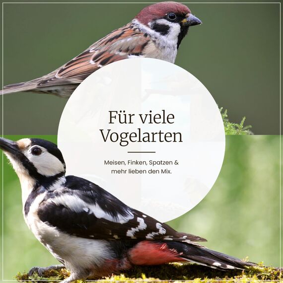 Erdtmanns Futterketten 12 x 650 g – Vogelfutter-Ketten mit Meisenknödeln & Nussbeuteln – abwechslungsreiches Ganzjahresfutter für Wildvögel – zum Aufhängen – Lange Haltbarkeit