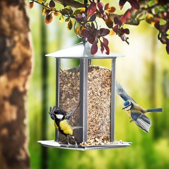 Paul´s Mühle Wildvogelfutter, Vogelfutter ideal für Brutzeit und Aufzucht, Phönix, 2,5 kg