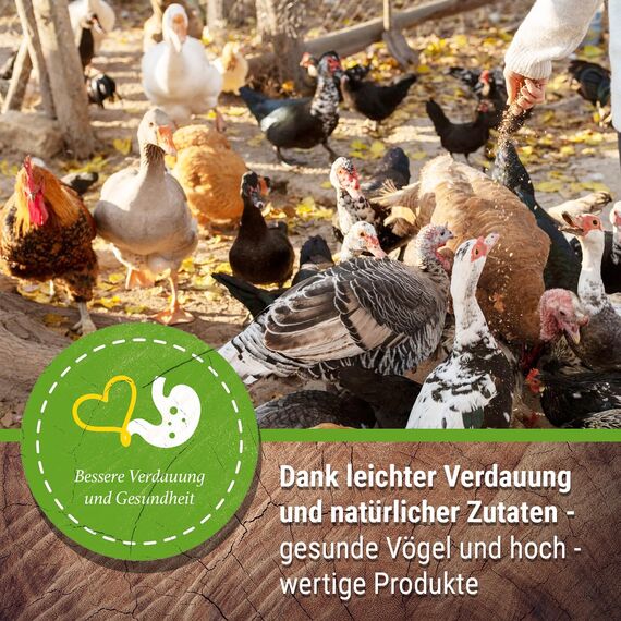 25 kg Premium Hühnerfutter und Kükenfutter, Legemehl Plus mit Oregano - Geflügelfutter für Hühner, Gänse, Enten