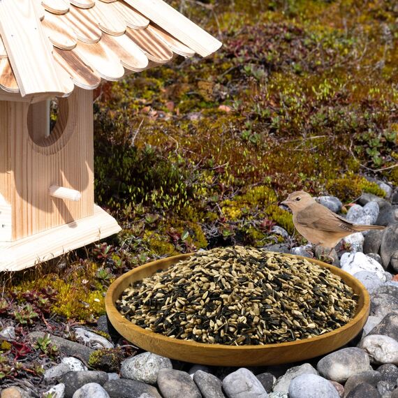 Lyra Pet® 25 kg Sonnenblumenkerne Mix | Geschälte & ungeschälte Kerne | Fettreiches Vogelfutter für Wildvögel | Nährstoffreiches Wildvogelfutter | Energiespendendes Streufutter für Vögel