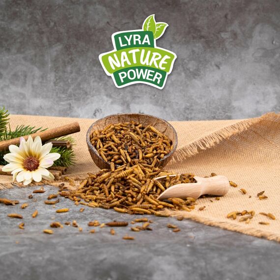 Lyra Pet® | 10 kg Soldatenfliegenlarven getrocknet | Black Soldier Fly | Hermetia Illucens | Wie Mehlwürmer | Reich an Kalzium & Proteinen | Energiereiches Futter für Vögel, Fische, Nager & Reptilien