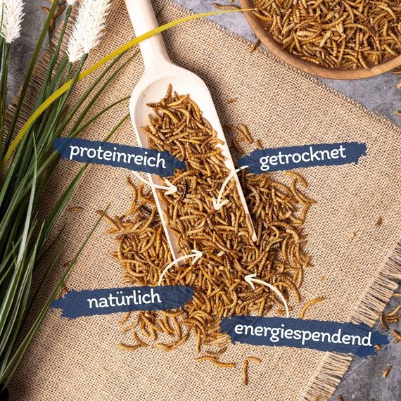 Lyra Pet® | 10 kg Mehlwürmer getrocknet | Proteinreiches Vogelfutter | Für Wildvögel, Nager, Reptilien & Fische | Nahrhaftes Futter | Energiespender für Insektenfresser | Vitamine & Mineralstoffe