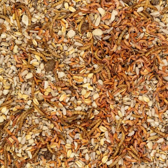 Paul´s Mühle Wildvogelfutter, Vogelfutter ideal für Brutzeit und Aufzucht, Phönix, 20 kg