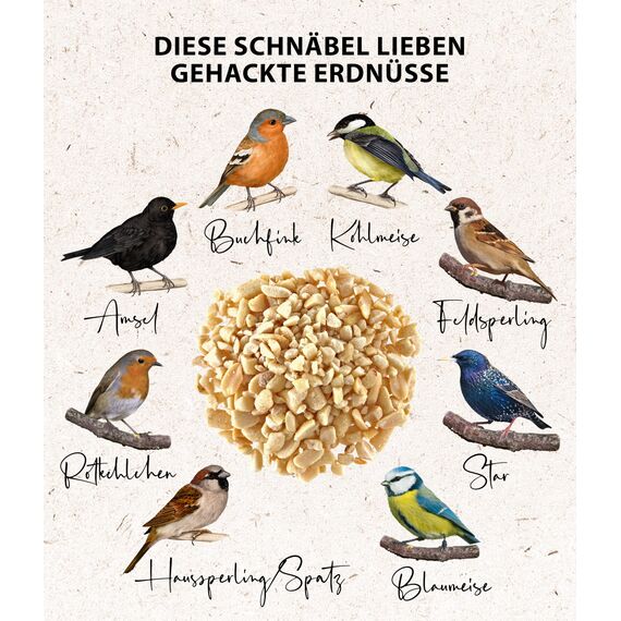 Dehner Natura Premium Wildvogelfutter, gehackte Erdnüsse schalenfrei, Ganzjahresfutter proteinreich / energiereich, hochwertiges Vogelfutter für Wildvögel, 5 kg