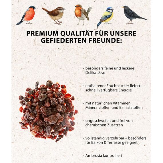 Dehner Natura Premium Wildvogelfutter, Rosinen Delikatesse, Futterrosinen, Ganzjahresfutter energiereich, hochwertiges Vogelfutter für Wildvögel, 2 kg