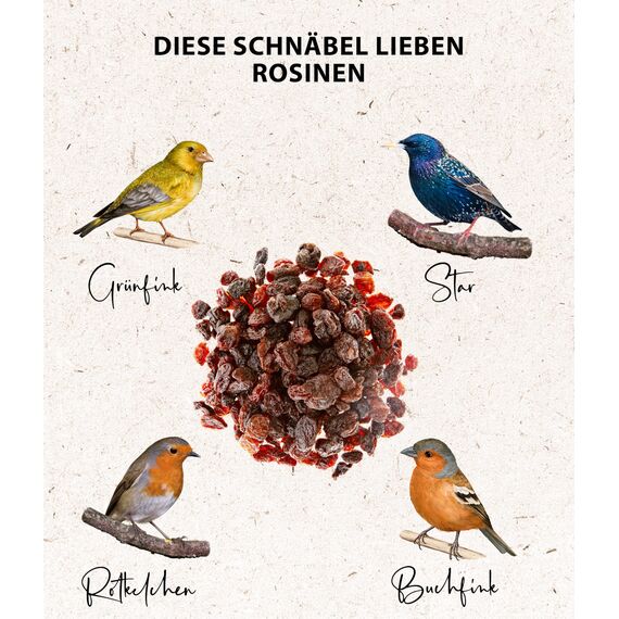 Dehner Natura Premium Wildvogelfutter, Rosinen Delikatesse, Futterrosinen, Ganzjahresfutter energiereich, hochwertiges Vogelfutter für Wildvögel, 5 kg