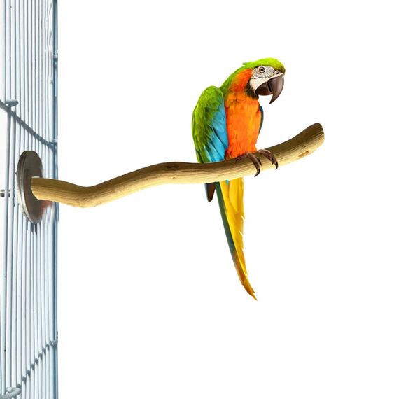 Natur Sitzstangen Set für Vögel, Stehend Vogelkäfig Zubehör, Sitzstangen für Vogelkäfige, Sitzstangen für Wellensittiche, Wellensittich Zubehör, für Wellensittich Kanarienvogel, 4 Stück