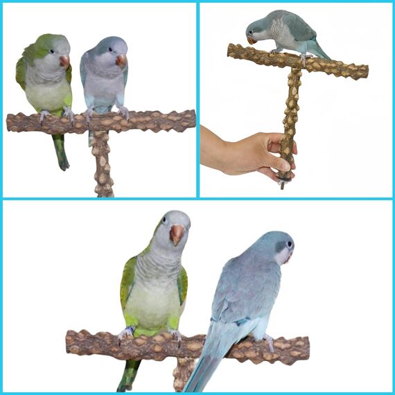 Allazone Natur Sitzstangen für Vögel - 7 Stück Holz Vögel Sitzstangen, Papagei Schaukel Spielzeug