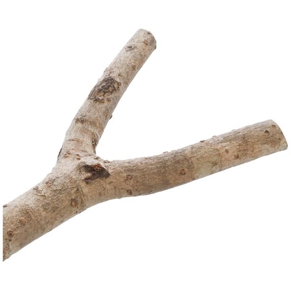 Trixie 5876 Natural Living Sitzstange, Y~Form, 20 cm/ø 15 mm