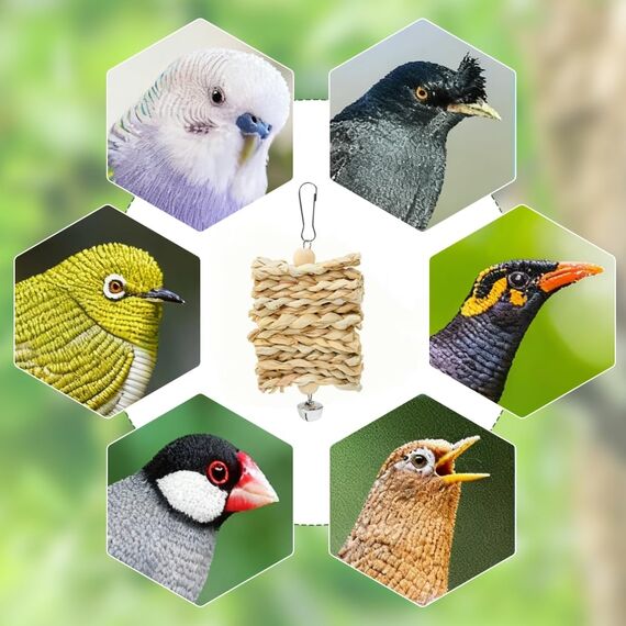 VGECEE Vogel Spielzeug Käfig Papageien Spielzeug Natur 19 Stück Vogelspielzeug Hängend Vogel zubehör Hängematte Holzleiter Vögel Kauspielzeug Vogelkäfig zubehör für Wellensittich Sittiche, Liebesvögel