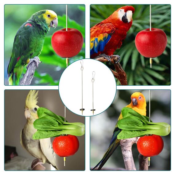 4 Stück Vogelspieß Papageienspieß Futterspender,Wellensittich Zubehör,Spielzeug,Vogel,Vogelspielzeug,Futterkrippe,für Hühnerspielzeug,Edelstahl,Hühnergemüsespieß,Vogelgemüsespieß,Futtersuchspielzeug