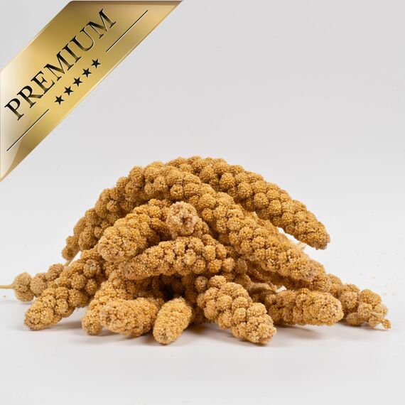 Lyra Pet® | 4 kg Kolbenhirse gelb | Ganzjähriges Vogelfutter für Ziervögel & Wildvögel | Handverlesene gelbe Hirse | Nährstoffreiche, naturbelassene Hirsekolben | Für Wellensittiche & Kanarienvögel