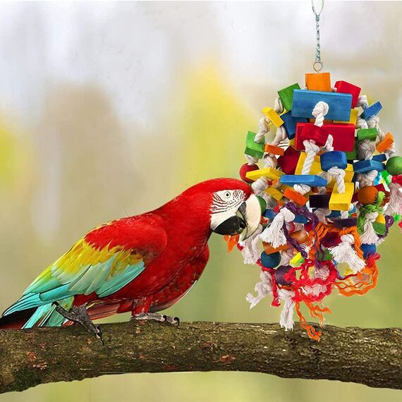 MQUPIN Großes Papagei Spielzeug Vogelspielzeug,Stark Kauendes Spielzeug Für Papagei100% Natürliche Mehrfarbige Holzblöcke,Papageien Spielzeug Für Große Mittelgroße Vögel,Aras,Graupapageienspielzeug