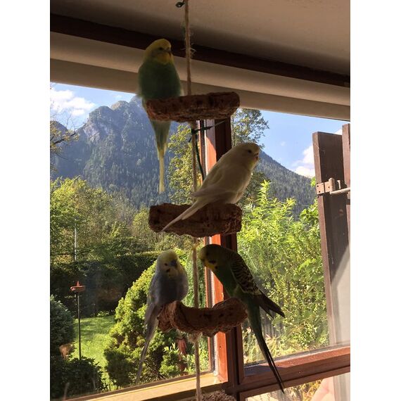 Vogelgaleria® Kork Knabberseil - das perfekte Wellensittich Spielzeug und Vogelzubehör zum Klettern und Nagen | Vogelspielzeug