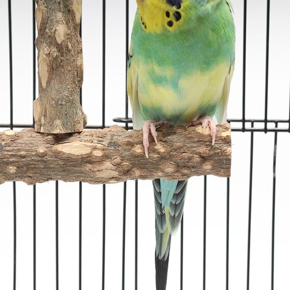 Allazone Natürliche Sitzstangen für Vögel, 7 Stück Holz, Vogel Papagei Schaukel Spielzeug