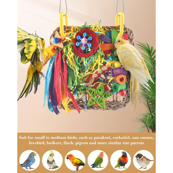 ERKOON Vogelspielzeug, Nymphensittich Futter Wellensittich Spielzeug Bird Feeder Toy for Parakeets Papagei Kauspielzeug,Vögel Am Käfig Installieren Können für Alle Papageien & Vogel (Gelblich Grün)