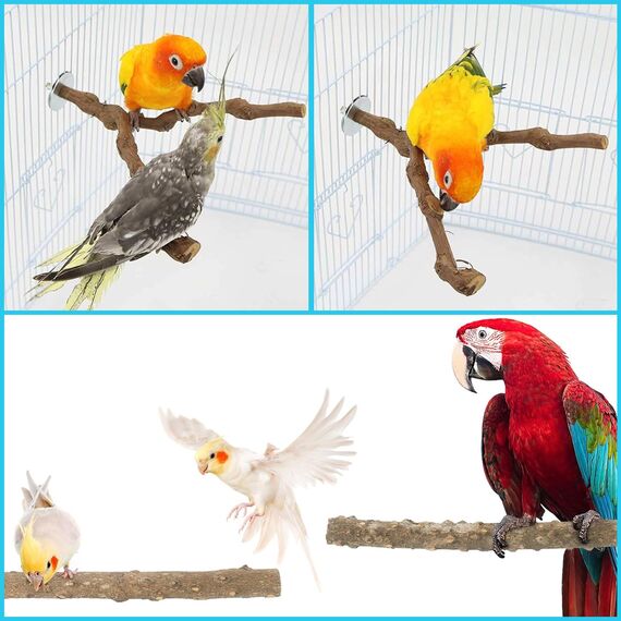 Allazone 9 Stück Naturholz Sitzstangen Set für Vögel, Papagei Schaukel Spielzeug, Vogelkäfig Zubehör