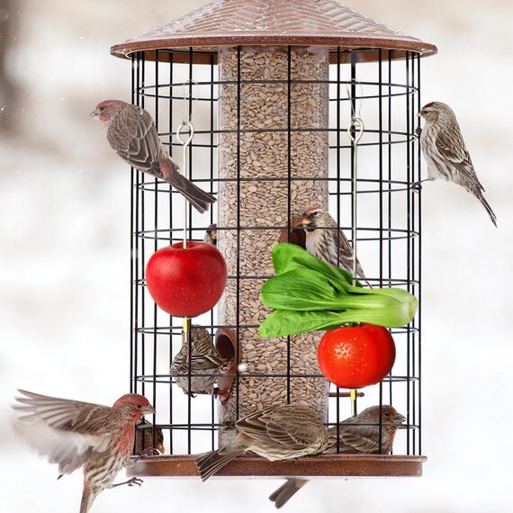 4 Stück Vogelspieß Papageienspieß Futterspender,Wellensittich Zubehör,Spielzeug,Vogel,Vogelspielzeug,Futterkrippe,für Hühnerspielzeug,Edelstahl,Hühnergemüsespieß,Vogelgemüsespieß,Futtersuchspielzeug