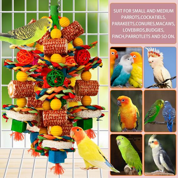 Vogelspielzeug für große Vögel, natürlicher Maiskolben und Luffascheiben, Kauspielzeug für Graupapageien, Aras, Kakadus, Amazonas-Papageien und andere kleine und mittelgroße Papageien (bunt)