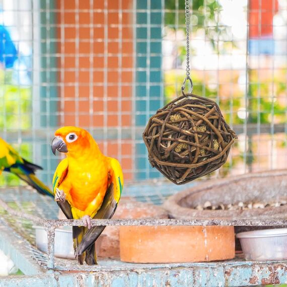 suruikei 3 Stück Kolbenhirse gefüllte Weidenkugel-für Vögel zum Kauen und Klettern – handgefertigt – Vogelkauspielzeug – für Papageien, Wellensittiche, Nymphensittiche, Kakadu (10cm)