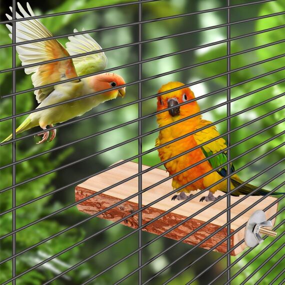 Vogelspielzeug, Sittichsitzstange, Wellensittichsitzstange, Holzständer, Gabelspielzeug, Sitzstange mit mehreren Ästen, Plattformspielzeug für kleine Sittiche, Nymphensittiche, Sperlingspapageien, Unz
