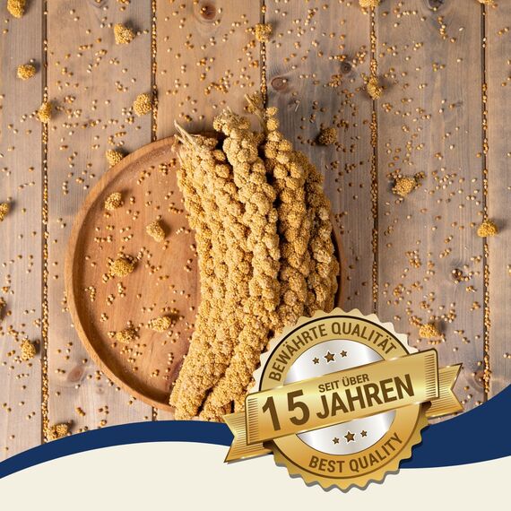 Lyra Pet® | 4 kg Kolbenhirse gelb | Ganzjähriges Vogelfutter für Ziervögel & Wildvögel | Handverlesene gelbe Hirse | Nährstoffreiche, naturbelassene Hirsekolben | Für Wellensittiche & Kanarienvögel
