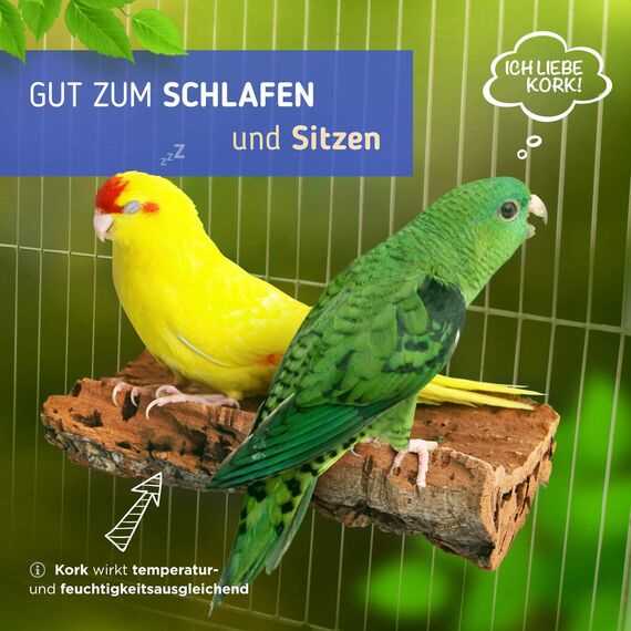 Vogelgaleria® Tolles Korksitzbrett groß für Vögel | Wellensittich Kork Sitzbrett 20x10 cm als perfektes Zubehör im Käfig | Kork Rinde ist EIN großartiges Spielzeug für Nymphensittich und Papagei