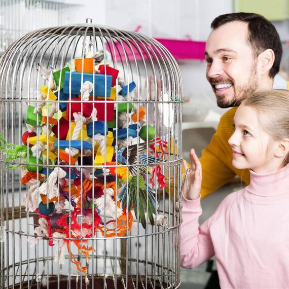 MQUPIN Großes Papagei Spielzeug Vogelspielzeug,Stark Kauendes Spielzeug Für Papagei100% Natürliche Mehrfarbige Holzblöcke,Papageien Spielzeug Für Große Mittelgroße Vögel,Aras,Graupapageienspielzeug