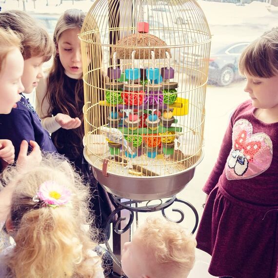 Großer Vogel Papagei Kauspielzeug, Sittichkäfig Biss Spielzeug Natur Durable Kauen Mehrfarbige natürliche Holzblöcke ,Rattan Ball und Kokosnuss Shell Tearing Spielzeug für große Vogel Amazon Papageien