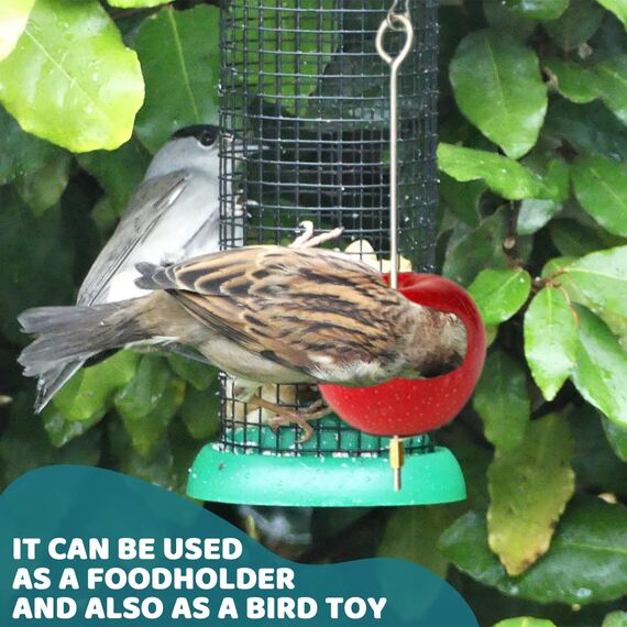 2 Stück Vogelspieß Papageienspieß Futterspender,Wellensittich Zubehör,Spielzeug,Vogel,Vogelspielzeug,Futterkrippe,für Hühnerspielzeug,Edelstahl,Hühnergemüsespieß,Vogelgemüsespieß,Futtersuchspielzeug