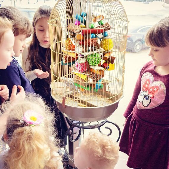Großer Vogel Papagei Kauspielzeug, Sittich Spielzeug Durable Kauen Mehrfarbige natürliche Holzstreifen, Rattan Ball und natürliches Mais Tearing Spielzeug für Amazon Papageien Afrikanisch Grau.