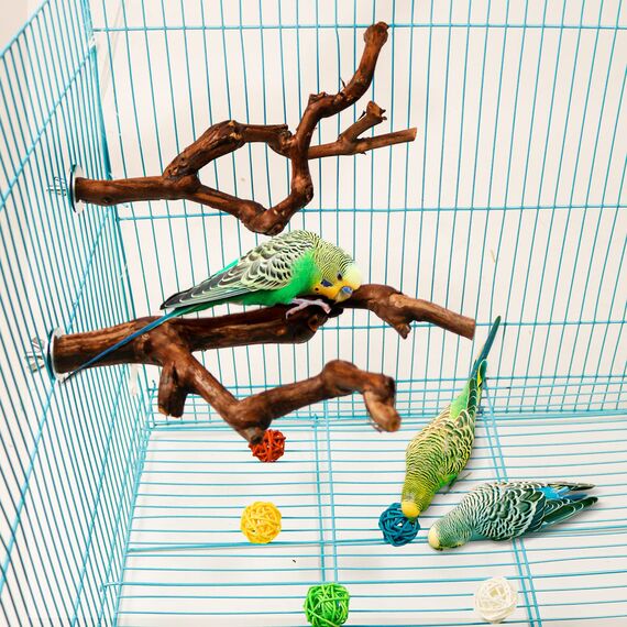 2 Stück Natur Sitzstangen Set für Vögel, Wildes Traubenholz Sitzstangen für Vogelkäfige, Vogelschleifklauen Klettern Stehend Vogelkäfig Zubehör für Wellensittich Nymphensittich Kanarienvogel (Stil 1)