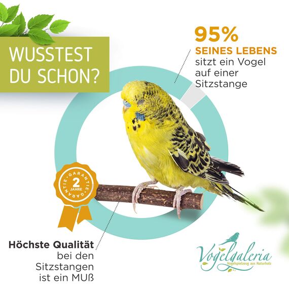 Vogelgaleria® 5 herrliche Natur Sitzstangen für Vögel wie Wellensittich, Nymphensittich, Kanarienvogel, Agaporniden | Naturholzstangen für den Vogel als wichtiges Vogelzubehör im Vogelkäfig | Zubehör