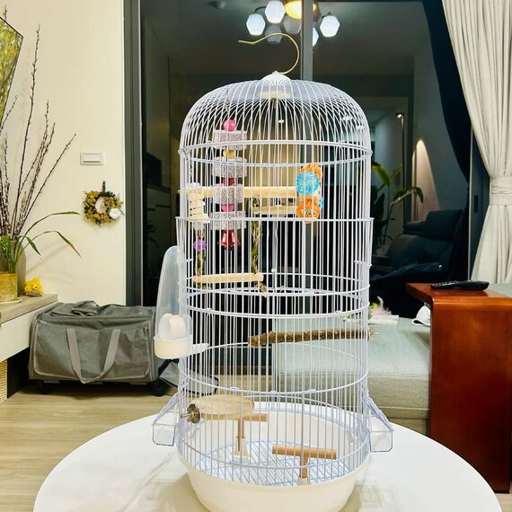 LIUYIDM 3 Stück Große Vogel Kauspielzeug, Vogelschnabel-Schleifstein mit Glocke, Mineralstein-Backenzahn-Spielzeug mit Glocke, Kauspielzeug für Papageien, für Kakadu, Sittich, Wellensittich