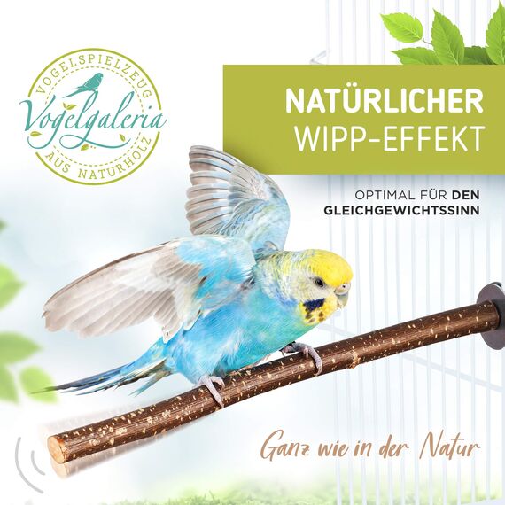 Vogelgaleria® 5 herrliche Natur Sitzstangen für Vögel wie Wellensittich, Nymphensittich, Kanarienvogel, Agaporniden | Naturholzstangen für den Vogel als wichtiges Vogelzubehör im Vogelkäfig | Zubehör