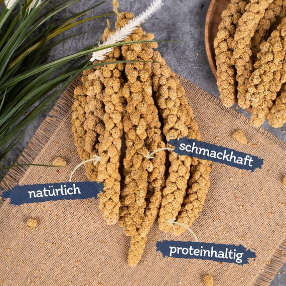 Lyra Pet® | 1 kg Kolbenhirse gelb | Ganzjähriges Vogelfutter für Ziervögel & Wildvögel | Handverlesene gelbe Hirse | Nährstoffreiche, naturbelassene Hirsekolben | Für Wellensittiche & Kanarienvögel