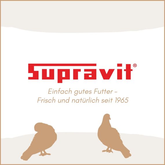 Supravit Vogelgrit 4kg – Grit für Vögel & Geflügel – Mineralgrit mit Calcium für Wellensittiche, Papageien, Nymphensittiche, Tauben & Hühner – Verdauungshilfe & Ergänzungsfutter