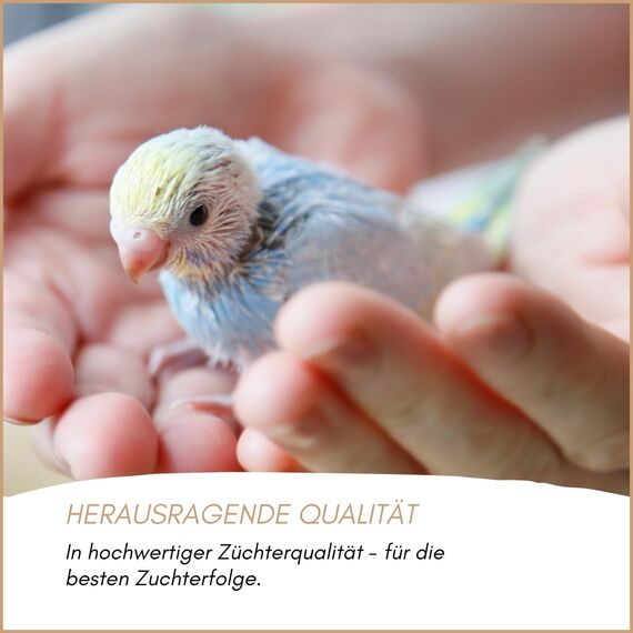 Supravit Vogelgrit 4kg – Grit für Vögel & Geflügel – Mineralgrit mit Calcium für Wellensittiche, Papageien, Nymphensittiche, Tauben & Hühner – Verdauungshilfe & Ergänzungsfutter