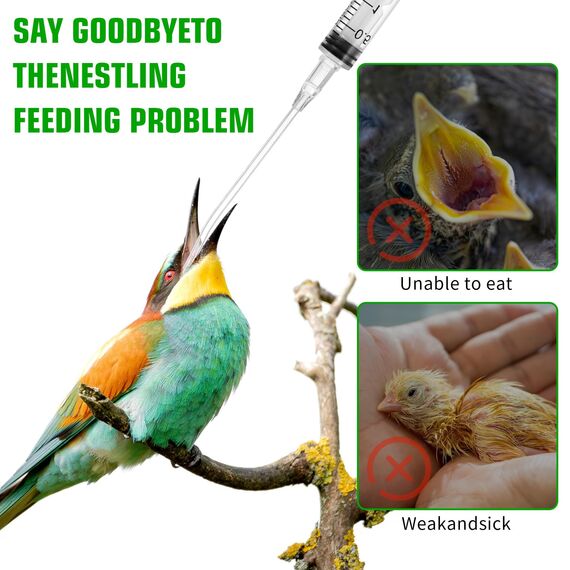 15 Stück Jungvögel Füttern Schlauch, Spritzen mit Schlauch Vogel Zubehör Aufziehspritze Tauben Feeder Handfütterungswerkzeug Milch Wasser Ernährungssonde für Baby Vögel und Papageien（2,5+ 5+ 10ml）