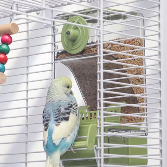 Automatischer Vogelfutterspender, Vogelkäfig-Futterspender mit Sitzstange für Wellensittiche, Sittiche, Kanarienvögel, Nymphensittiche, Finken (Grün)