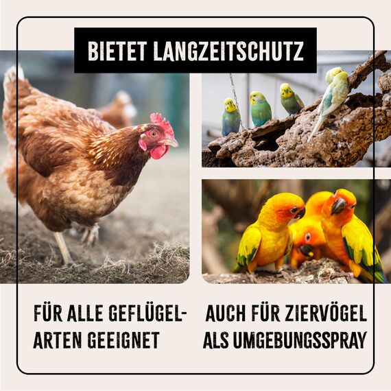 AniForte Milbenspray Hühner & Geflügel 500ml - gegen Milben & Parasiten, Milben Stop, Milbenmittel als Umgebungsspray & Kontaktspray, zur Vorbeugung & bei akutem Befall