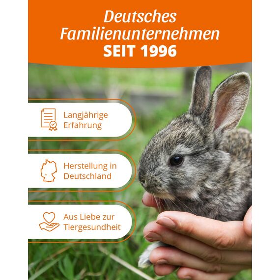 petifool Neujahrsmix 410g - Ergänzungsfutter für Nager - natürliches Nagerfutter für Kaninchen, Meerschweinchen, Hamster, Chinchilla & mehr - ohne künstliche Zusätze - 100% Natur - artgerechtes Futter
