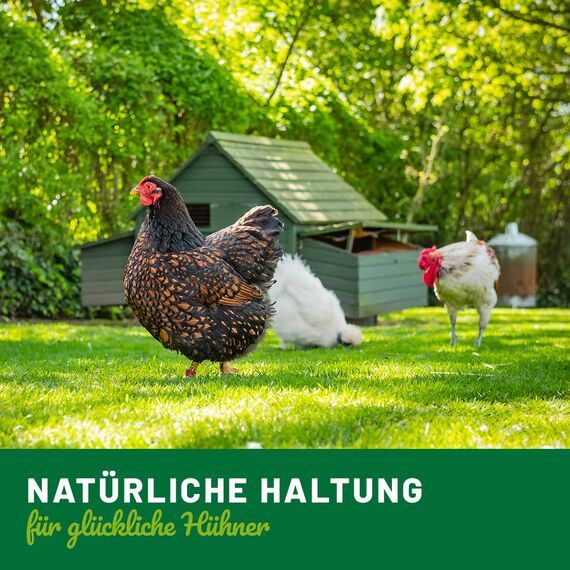 TESTURTEIL SEHR GUT 2026 HÜHNER Land Wurmkraut Liquid 100ml – für Hühner & Geflügel, mit echtem Wurmkraut (Artemisia Absinthium) in rezepturbasierter Pflanzenformel, geeignet für Hühner